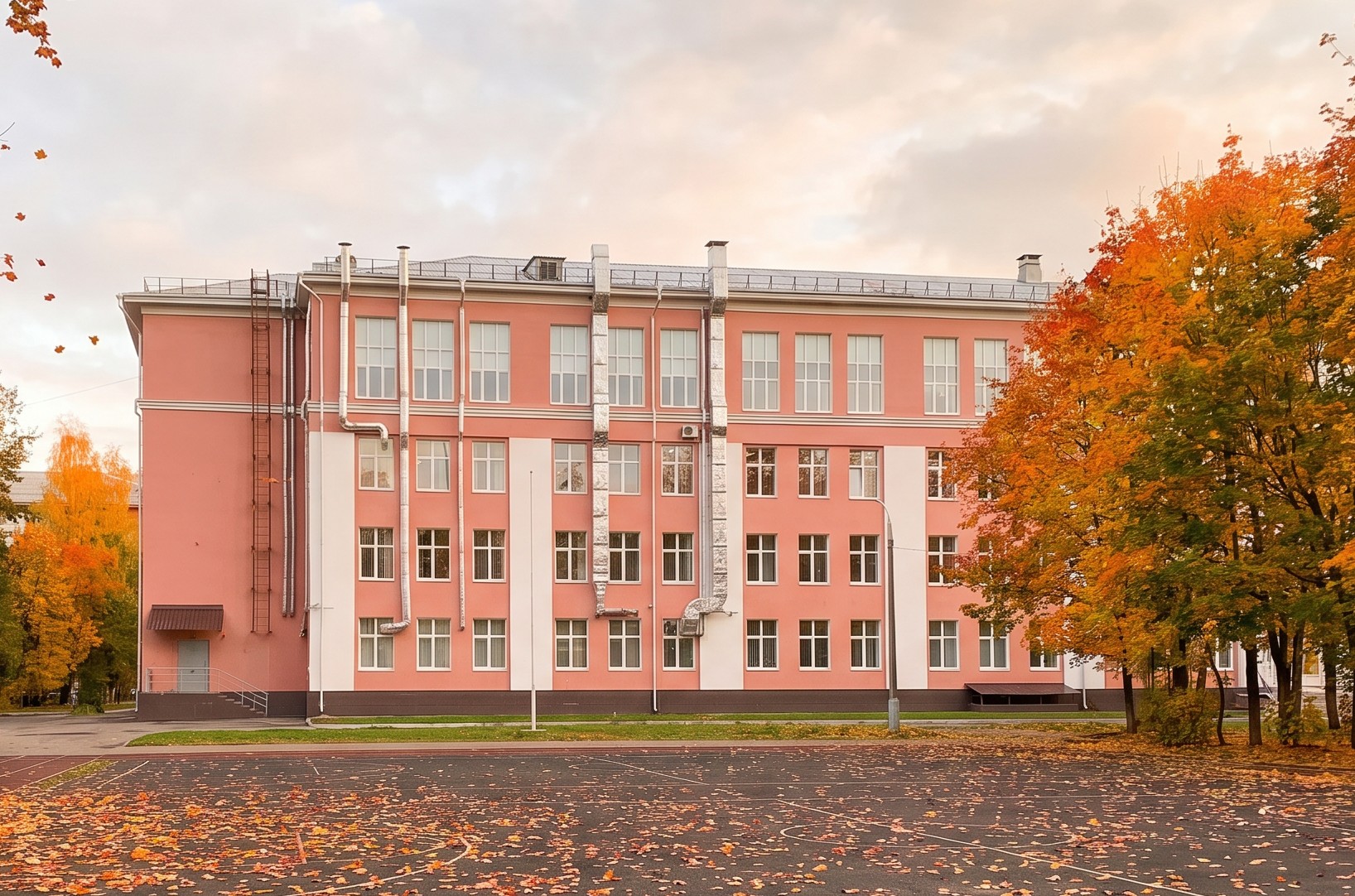 Реконструкция Школы №60, ул. Лодыгина, 14
